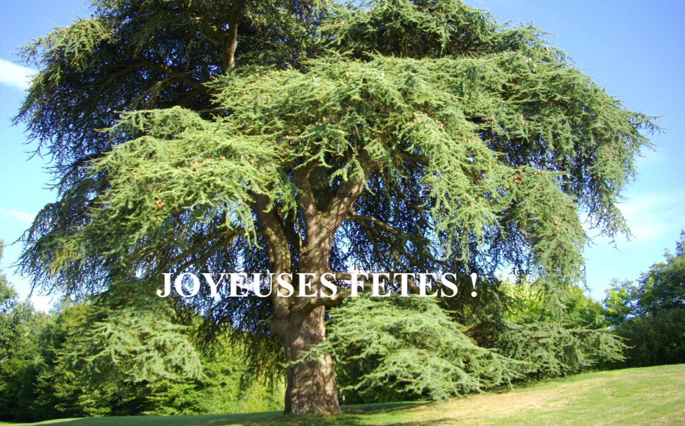 Joyeuses fêtes !